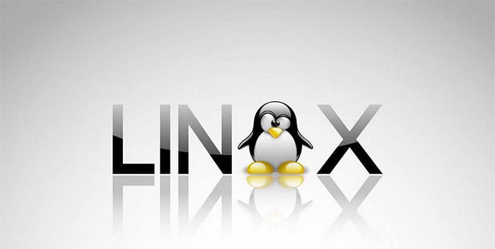 Linux