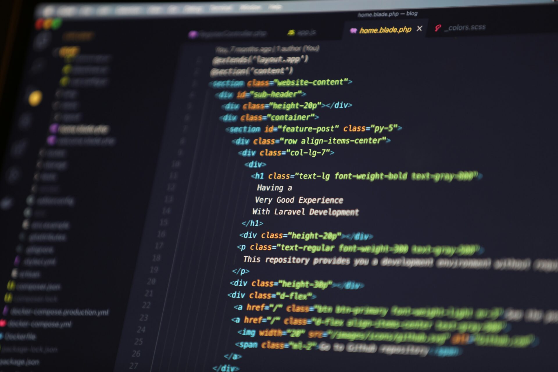 Web Developer